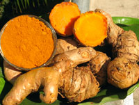 curcuma_curcuminoides